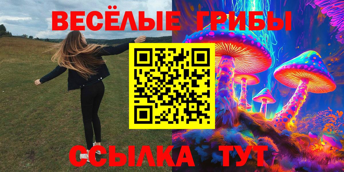 Йошкар-Ола  Галлюциногенные грибы Psilocybe  Вход с VPN  Псилоцибиновые грибы Cubensis 